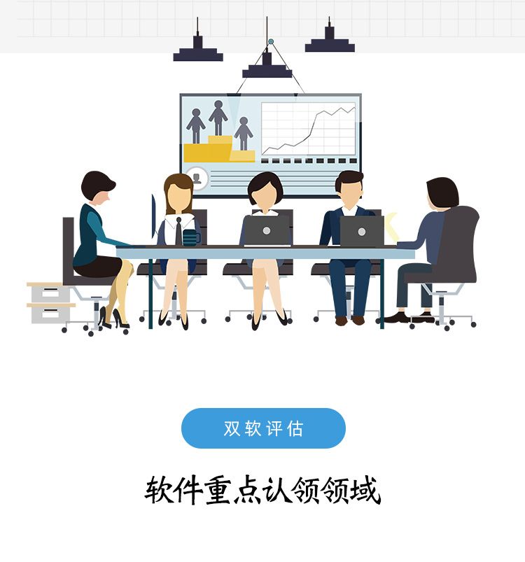 双软评估